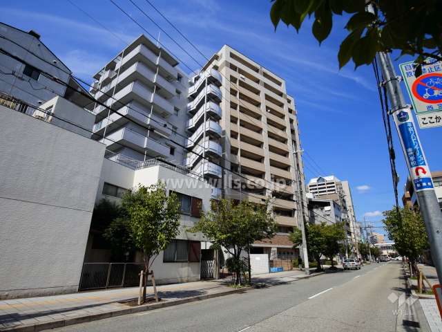 敷地西側は、JR「西宮」駅に続く通り。街路樹が並んでいます。