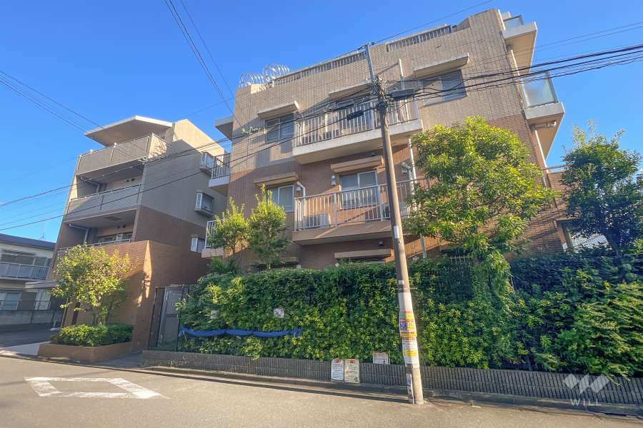 藤和シティホームズ多摩川鵜の木の外観（北西側から）