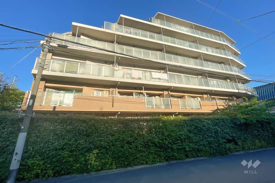 藤和シティホームズ多摩川鵜の木の外観（西側から）