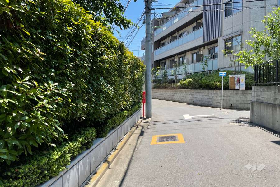 敷地の西側前面道路（北側から）