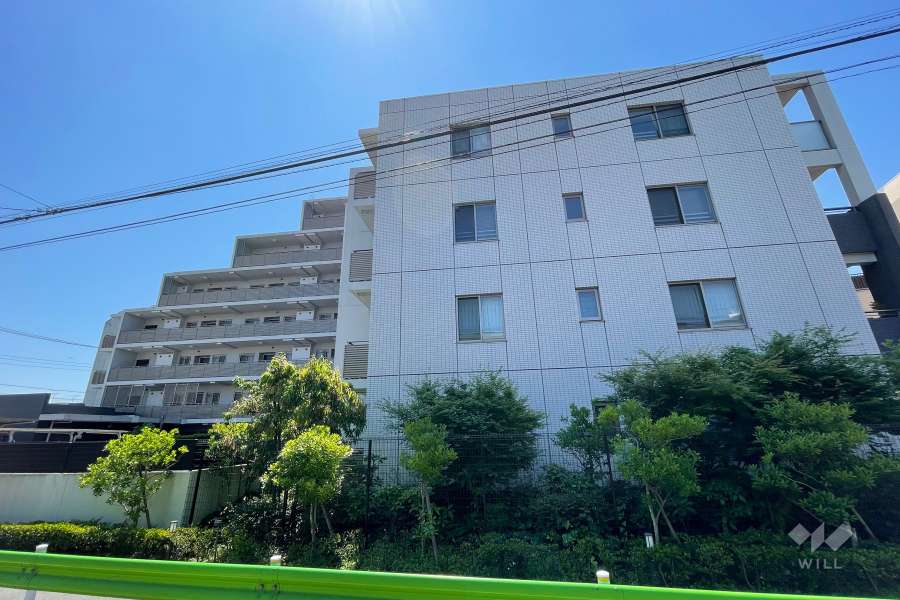 アデニウム鵜の木ザレジデンスの外観（北西側から）