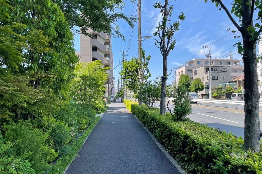 敷地東側の前面道路