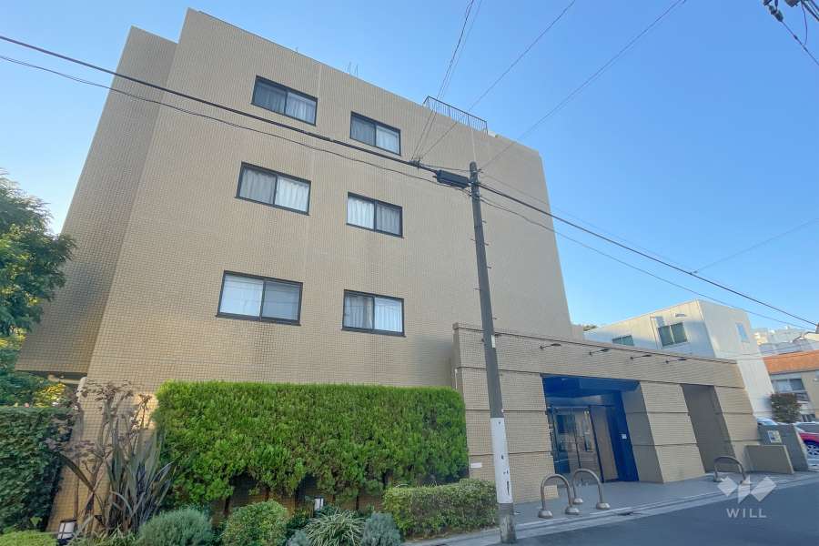 プラーティノ多摩川鵜の木の外観（南東側から）