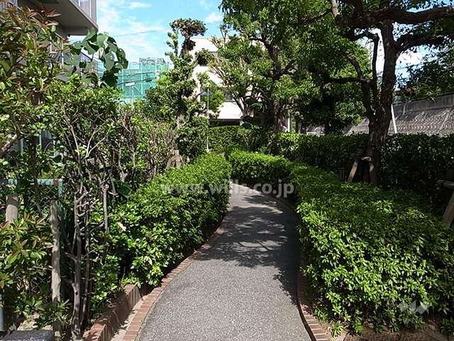 両脇が植栽スペースに囲まれたエントランス前の通路