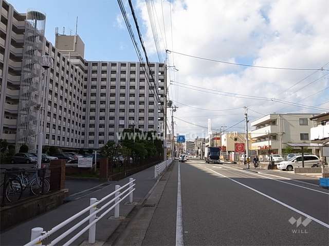 敷地北側の前面道路（「旧国道」）