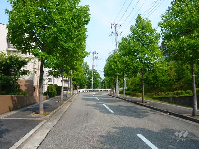 周辺の街並み