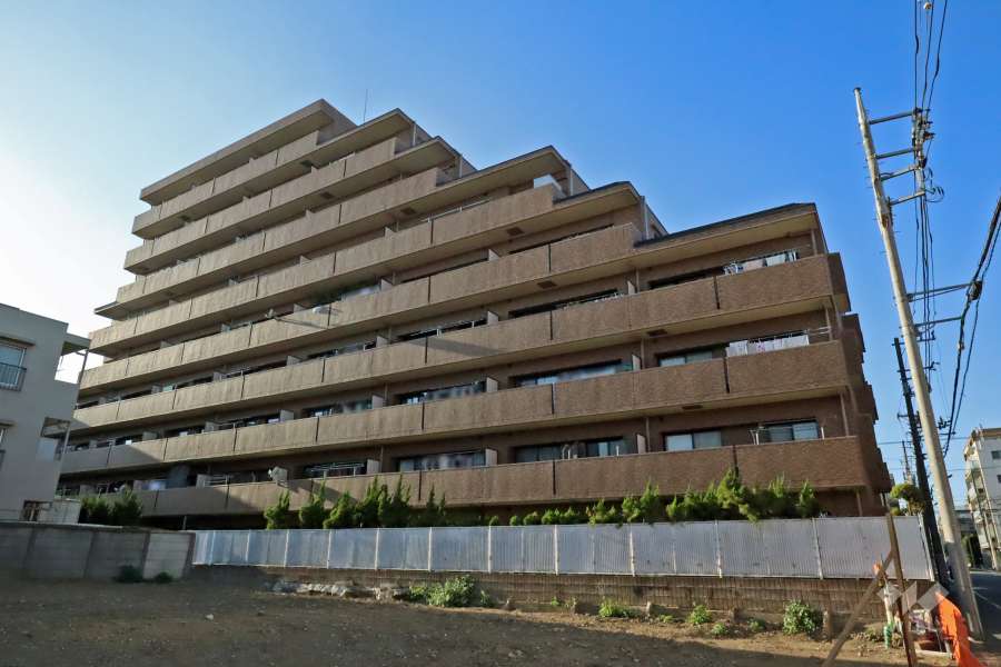 ダイアパレスラシューレ下丸子の外観（南東側から）