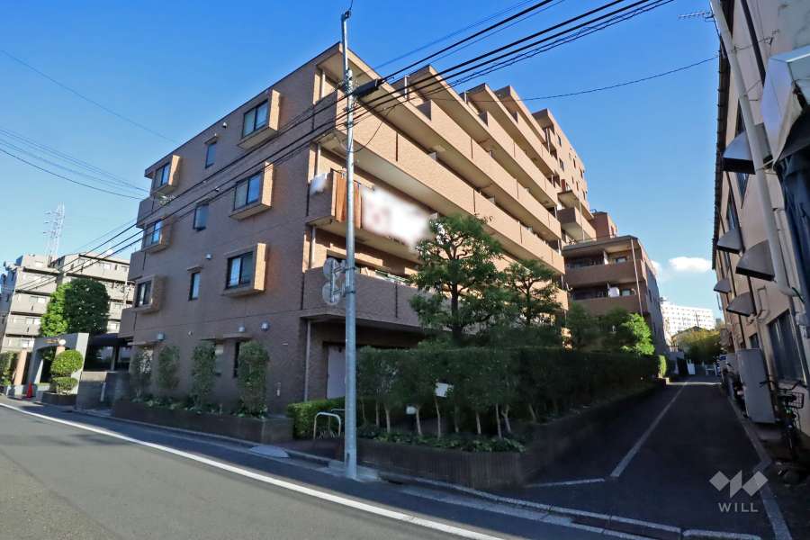 ダイアパレスラシューレ下丸子の外観（北西側から）