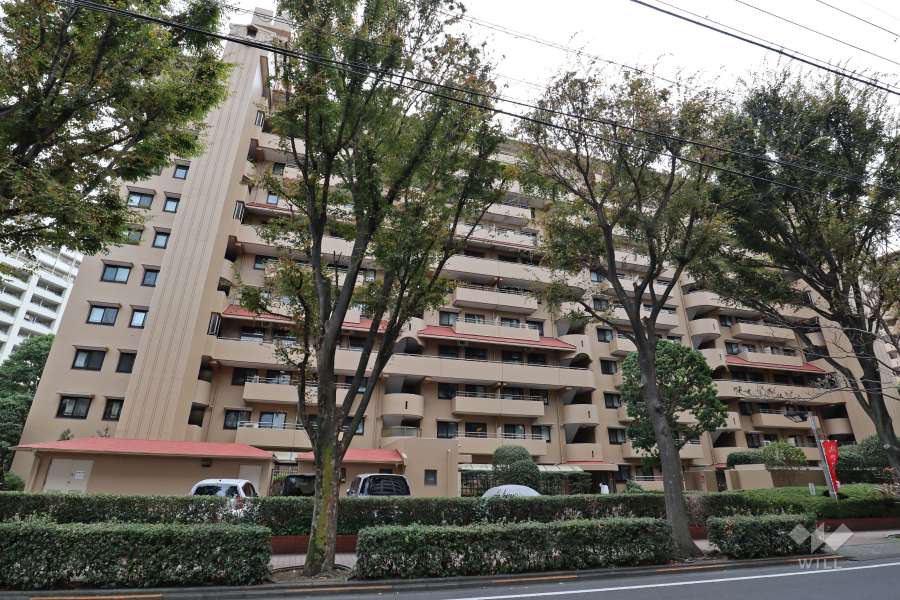多摩川ハイム1号棟の外観（北側から）