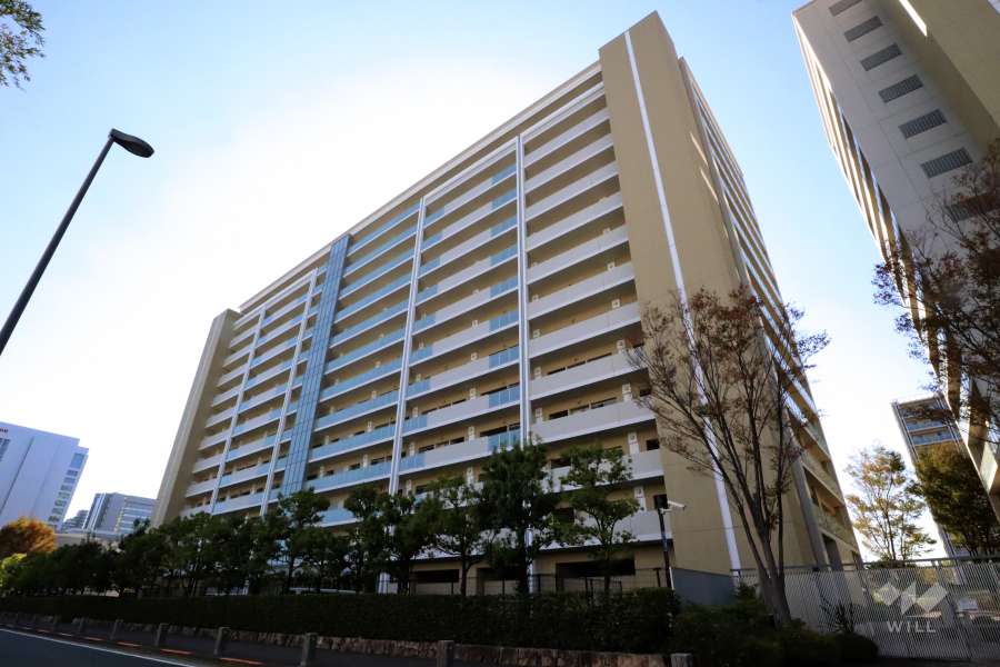 ザ・リバープレイス　センターコートの外観(北東側から)