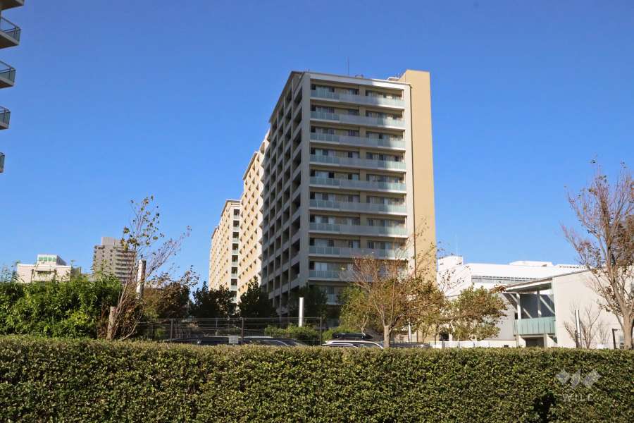 ザ・リバープレイス　センターコートの外観(南西側から)