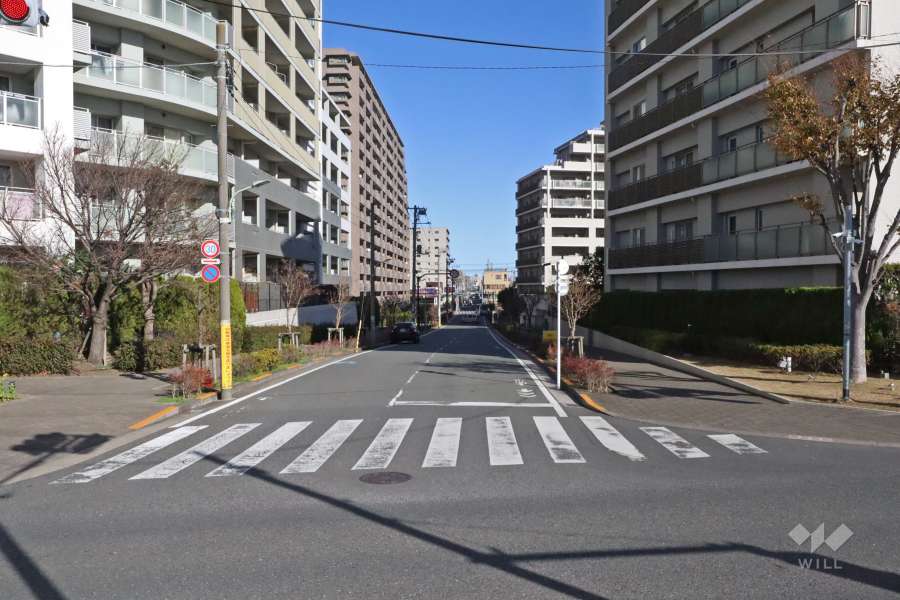 敷地南東側の前面道路（南西側から）