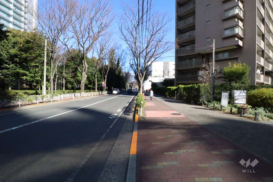 敷地北西側の前面道路(南西側から)