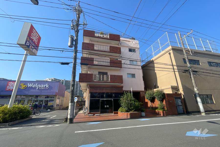 ダイアパレス下丸子の外観（南東側から）