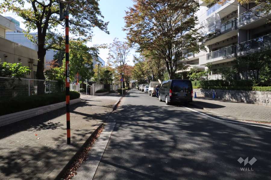 敷地南側の前面道路(東側から)