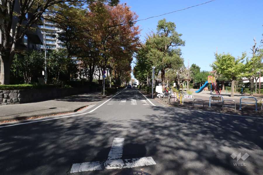 敷地東側の前面道路(南側から)