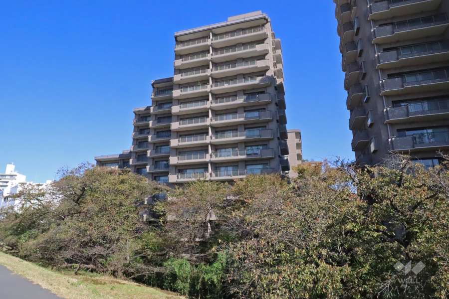 パークハウス多摩川北弐番館の外観（南西側から）