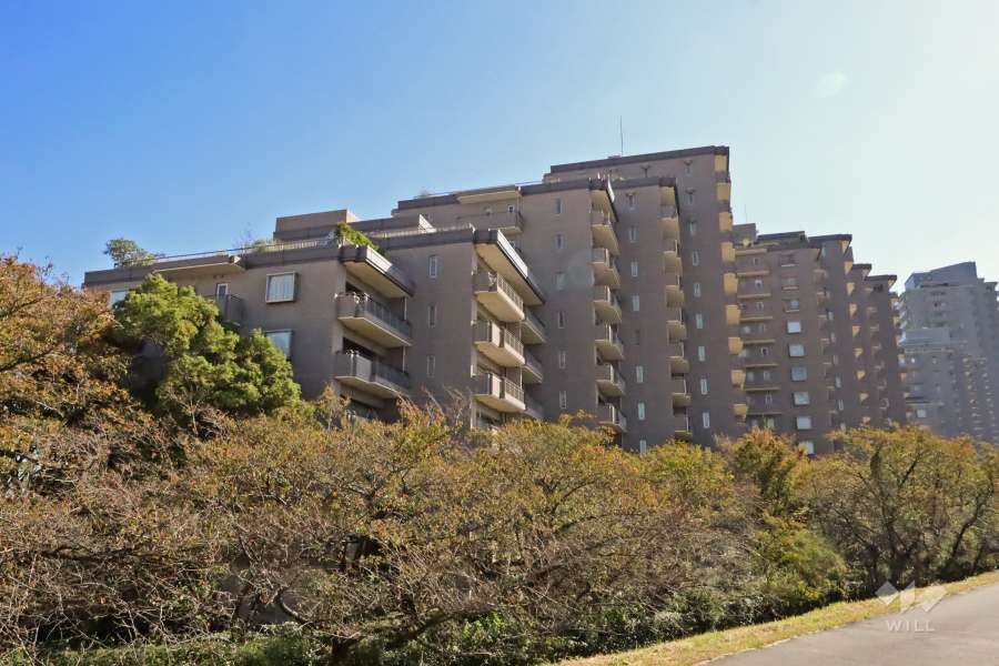 パークハウス多摩川北弐番館の外観（北西側から）