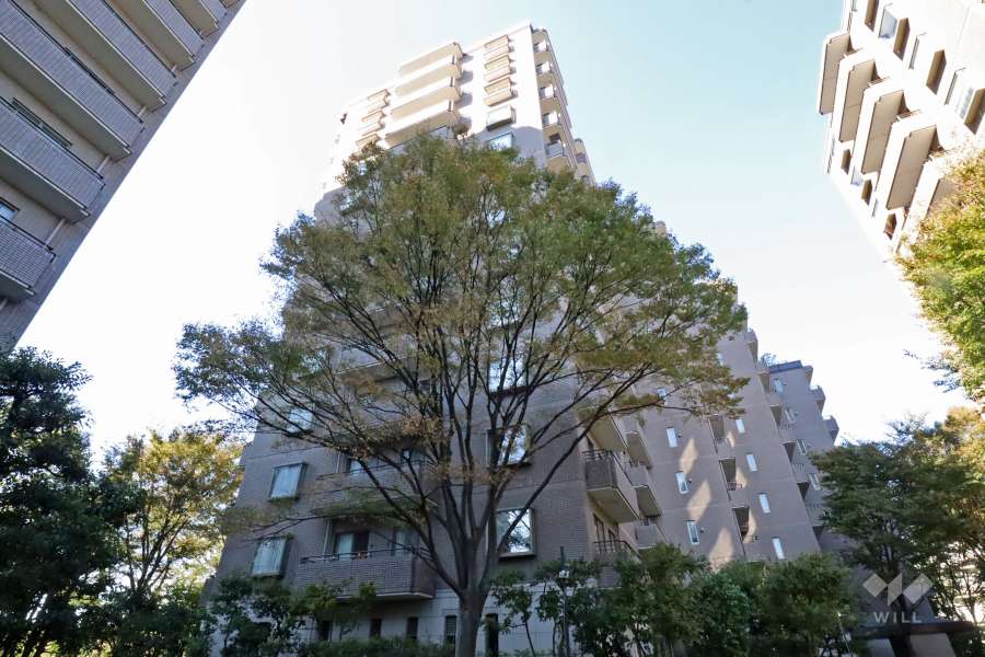 パークハウス多摩川北弐番館の外観（南東側から）