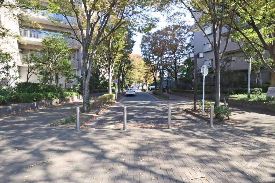 敷地南側の前面道路（西側から）