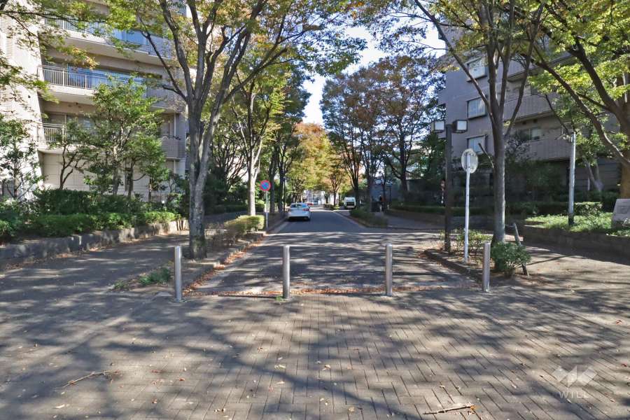 敷地南側の前面道路（西側から）