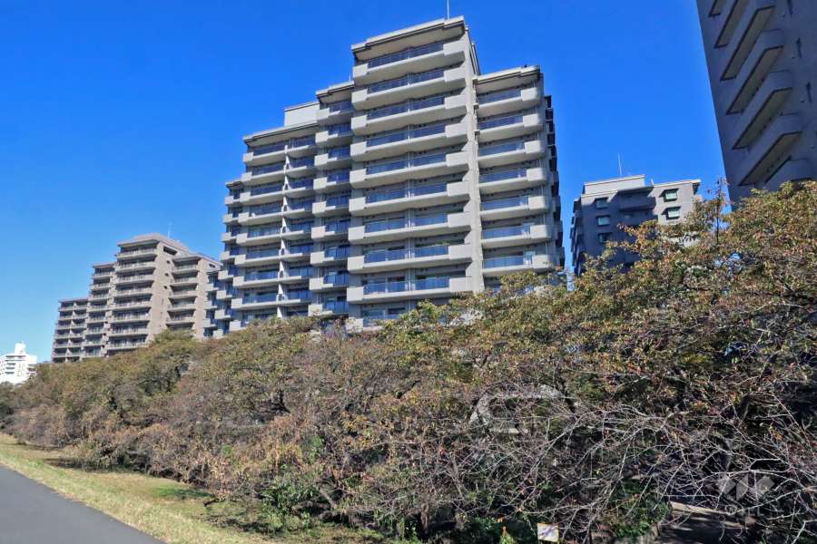 パークハウス多摩川南弐番館の外観(南西側から)