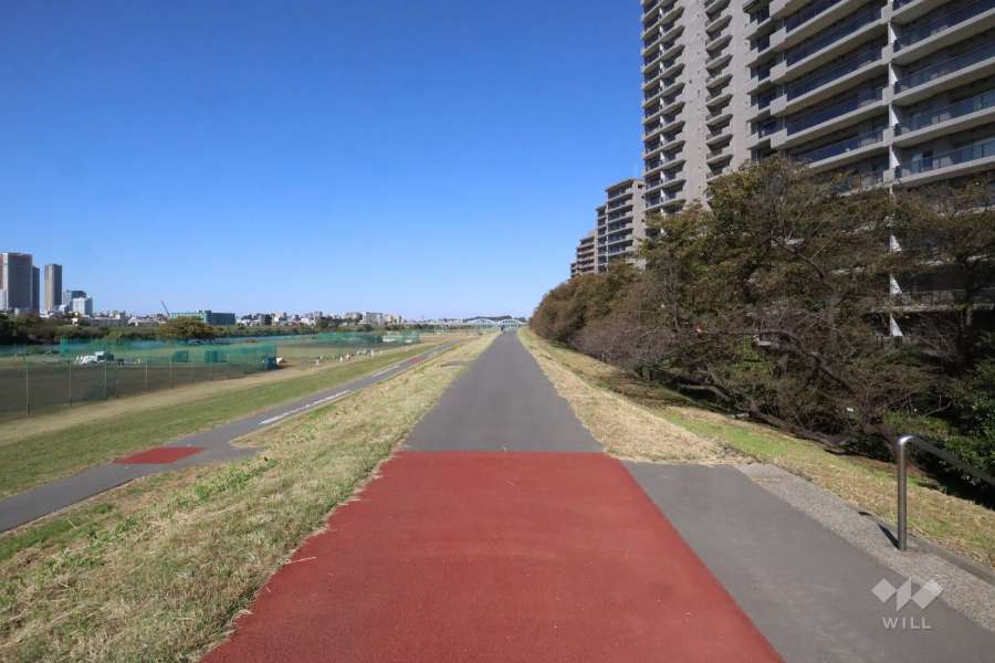敷地西側は多摩川河川敷遊歩道に面しています。