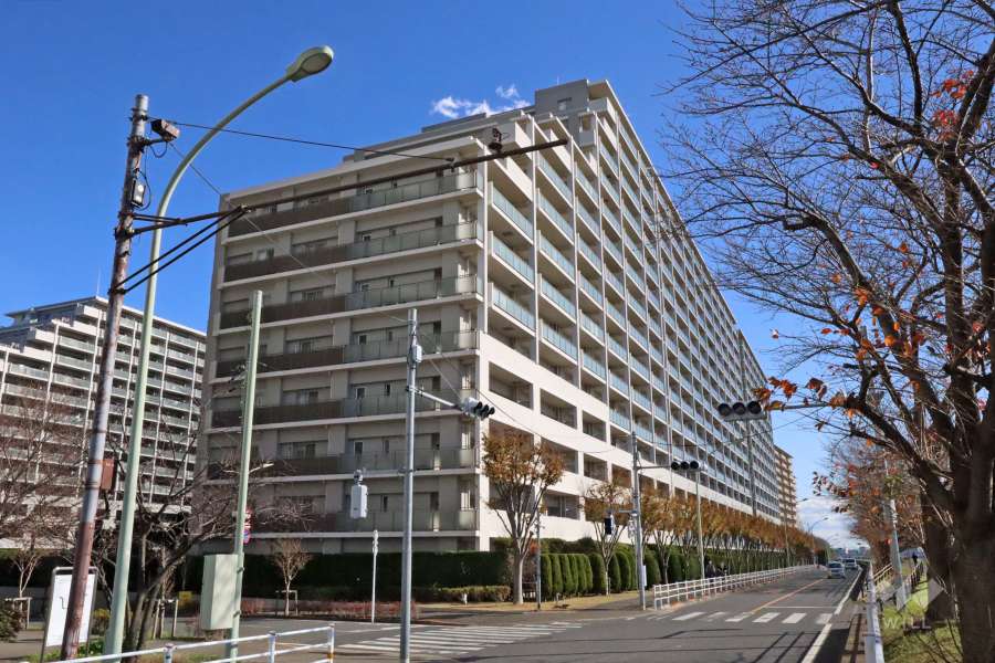 東京サーハウスリバーポートの外観（西側から）