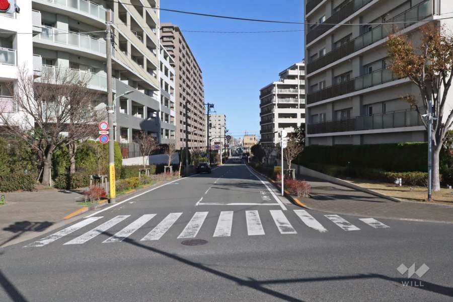 敷地北西側の前面道路（西側から）