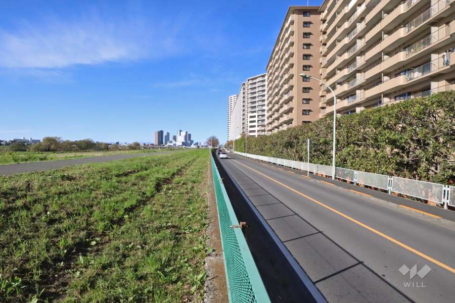 敷地南西側の前面道路（南東側から）