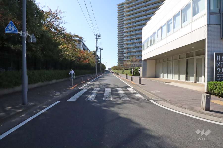 敷地南東側の前面道路（北東側から）