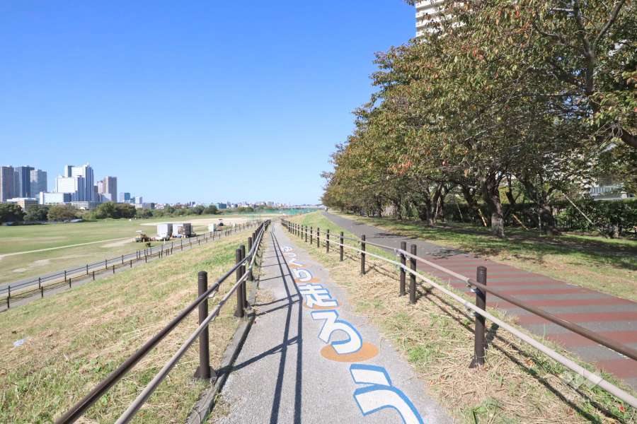 敷地南西側の前面道路（南東側から）