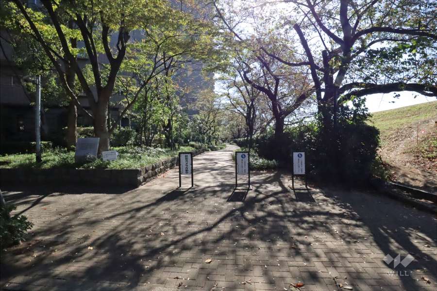 敷地西側の遊歩道