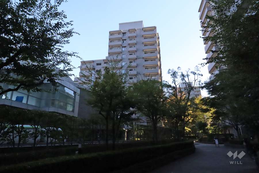 パークハウス多摩川南壱番館の外観(北西側から)
