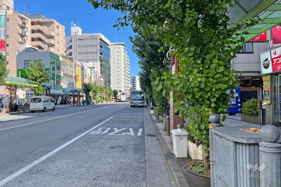 敷地北側の前面道路（西側から）