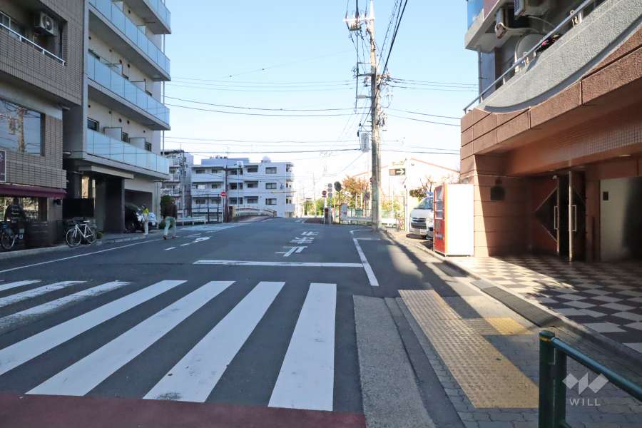 敷地西側の前面道路(南側から)