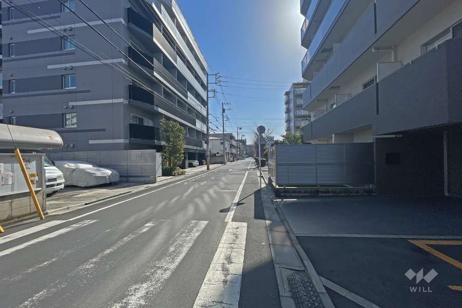 敷地北側の前面道路（西側から）