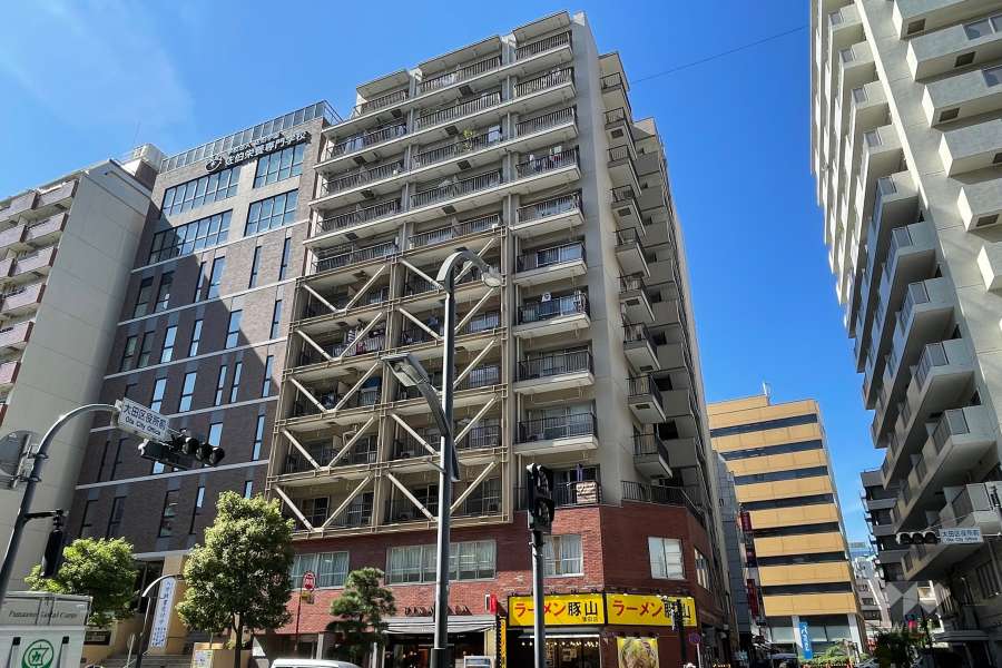 ドミール蒲田の外観（東側から）