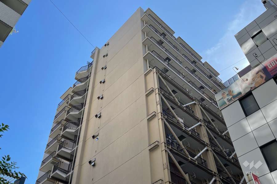 ドミール蒲田の外観（北西側から）