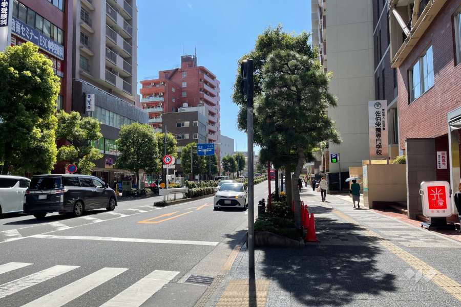 敷地東側の前面道路（北側から）