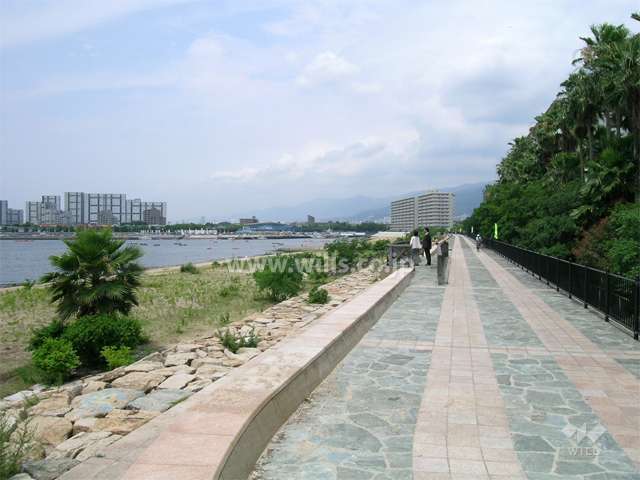 敷地の南側には海が広がっています。