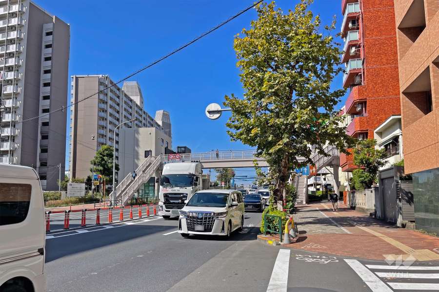 敷地南側前面道路は環八通りです（東側から）。