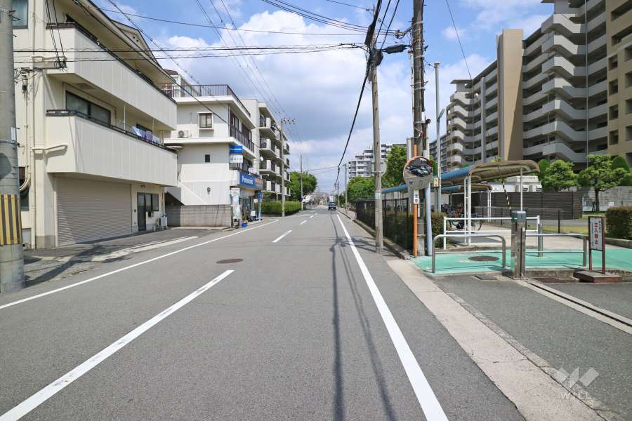 敷地北側の前面道路（西側から）
