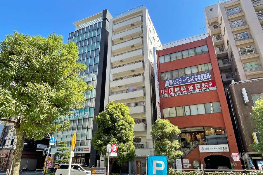 葵ダイアパレス蒲田の外観（南西側から）