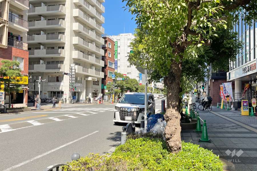 敷地西側の前面道路