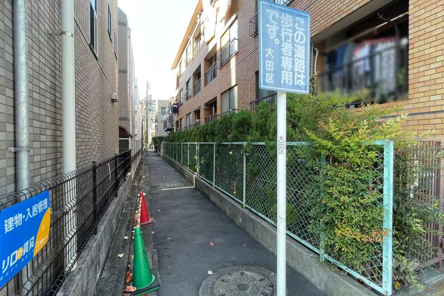 敷地南側の前面道路