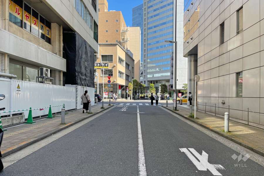 敷地の南側前面道路（西側から）
