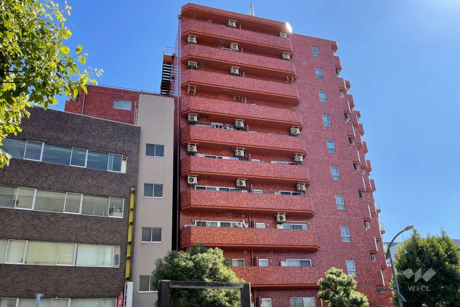 ハイライフ蒲田の外観（北西側から）