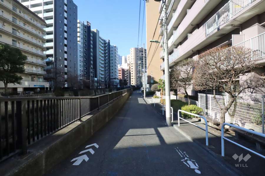 敷地南側の前面道路(東側から)