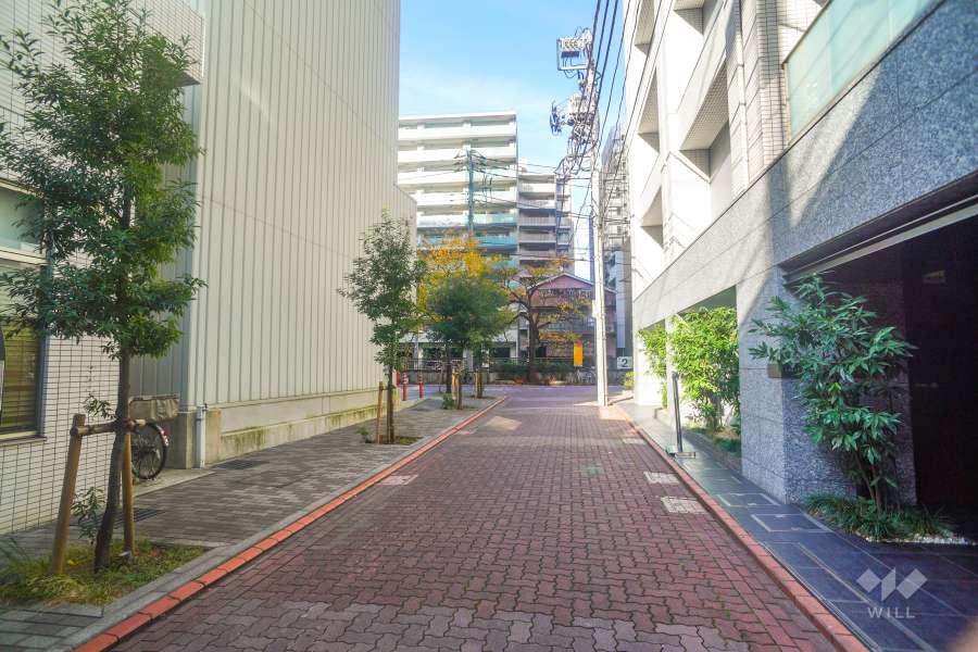 敷地西側の前面道路（南側から）
